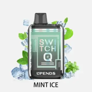 SWITCHQ-MINT-ICE.
