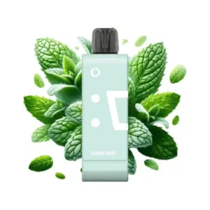 Elfbar-MIAMI-MINT-EW9000-Pod