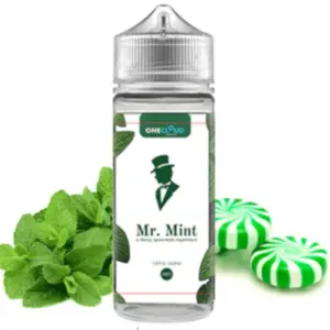 One-Cloud-Mr-Mint-120ml-Longfill