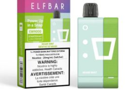 ElfBar Kit - Mint EW9000 (Pod + Battery)
