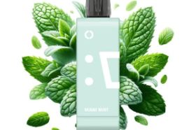 Elfbar - Miami Mint EW9000 Pod